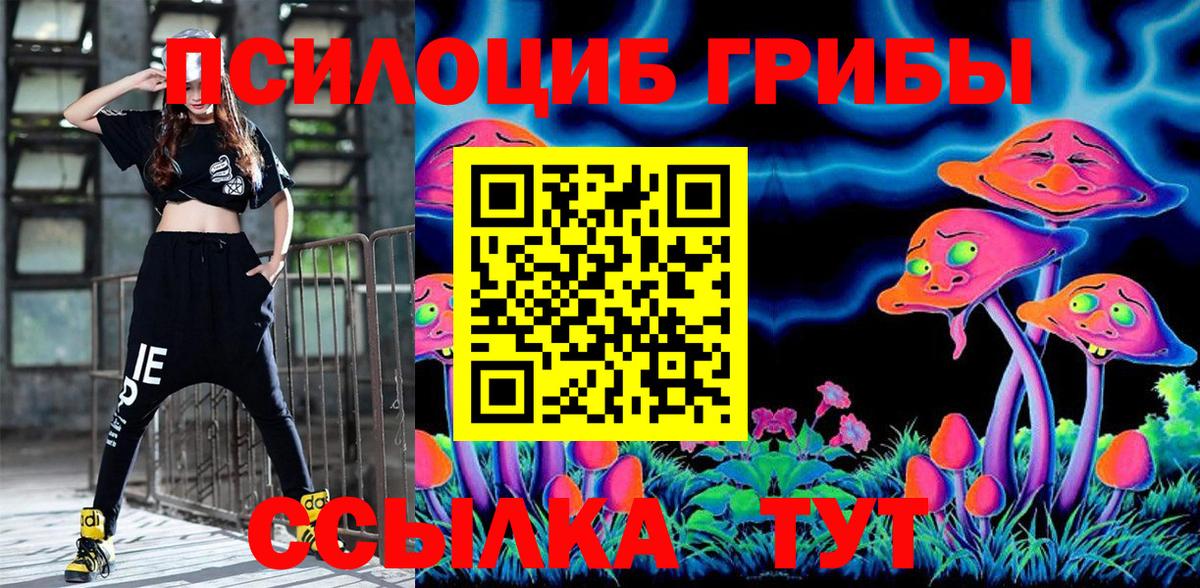 Псилоцибиновые грибы Psilocybine cubensis Прокопьевск