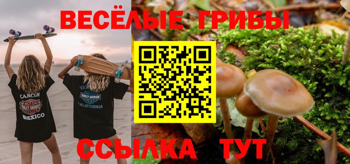 Прокопьевск  Галлюциногенные грибы Magic Shrooms  Псилоцибиновые грибы прущие грибы  Вход с VPN 