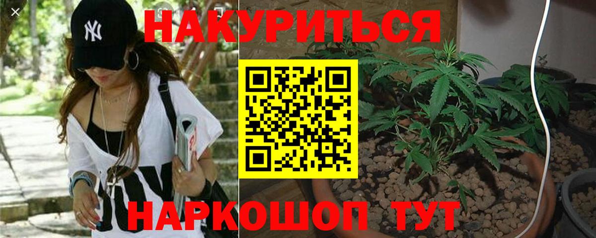 Бошки марихуана THC 21% Прокопьевск
